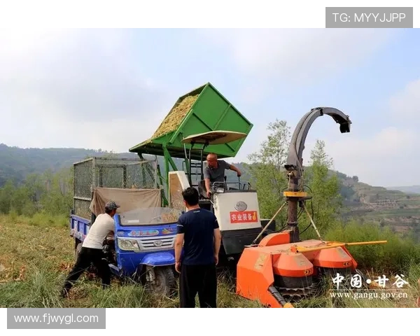 挖掘机青贮饲料堆垛